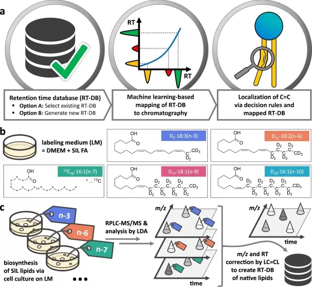The LC=CL analysis workflow for identifying fatty acyl double-bond positions using RT-DB generation by SIL experiments in LC-MS/MS lipidomics